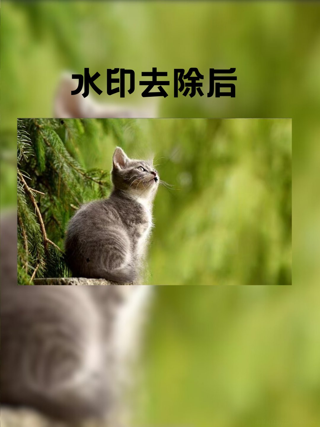 一键操作“渝都亲友圈怎么下载挂”科技辅助神器手机版教程-第2张图片