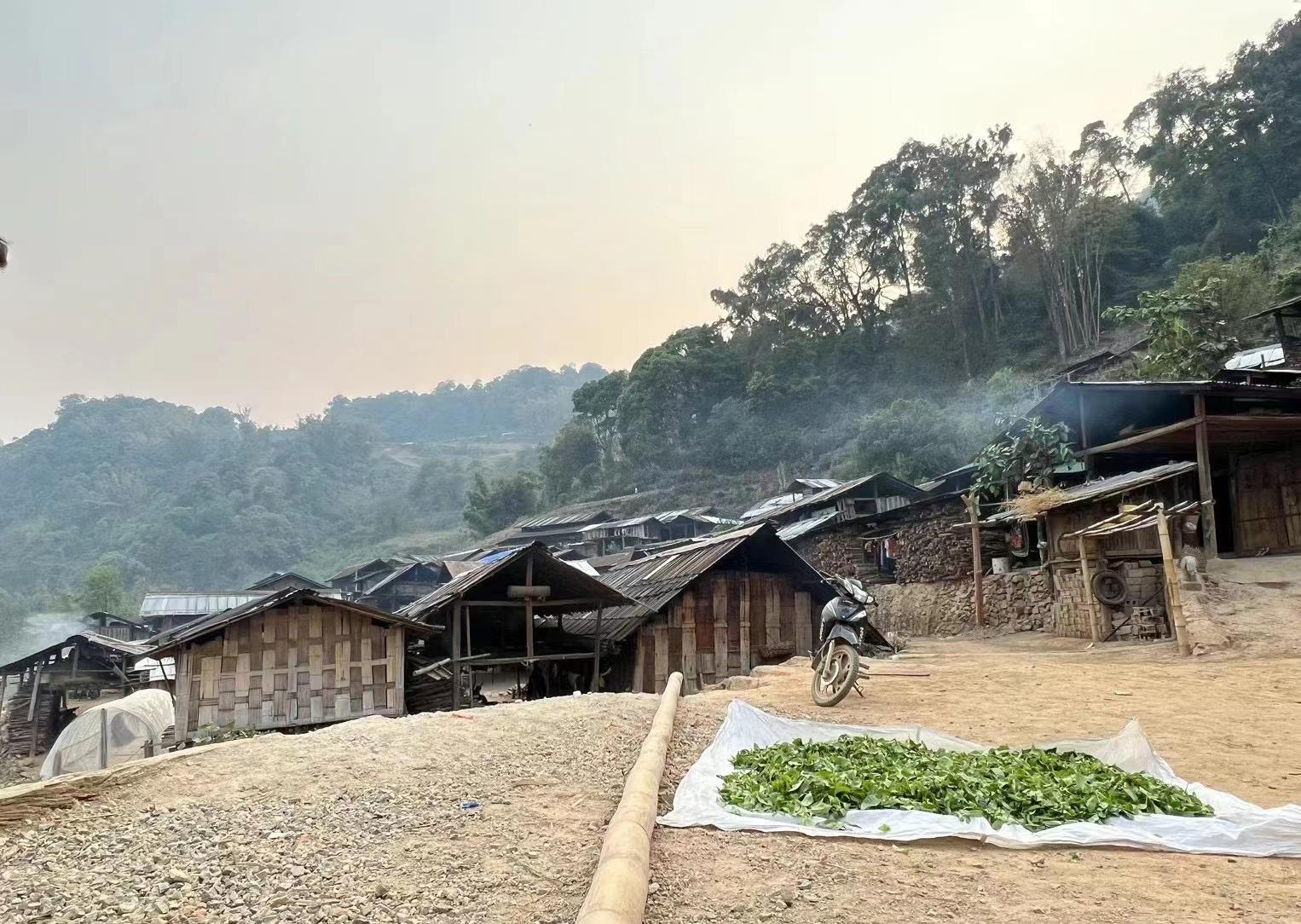 缅北地区哪里没有疫情(缅北地区哪里没有疫情的地方)-第2张图片