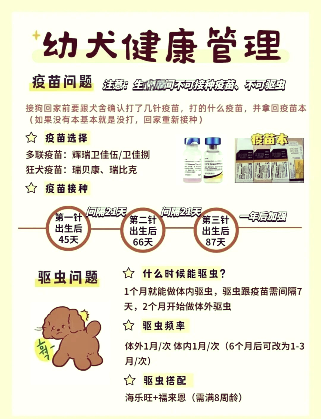 【疫情地区狗狗怎么处理的,疫情期间狗狗可以带回家吗】-第2张图片