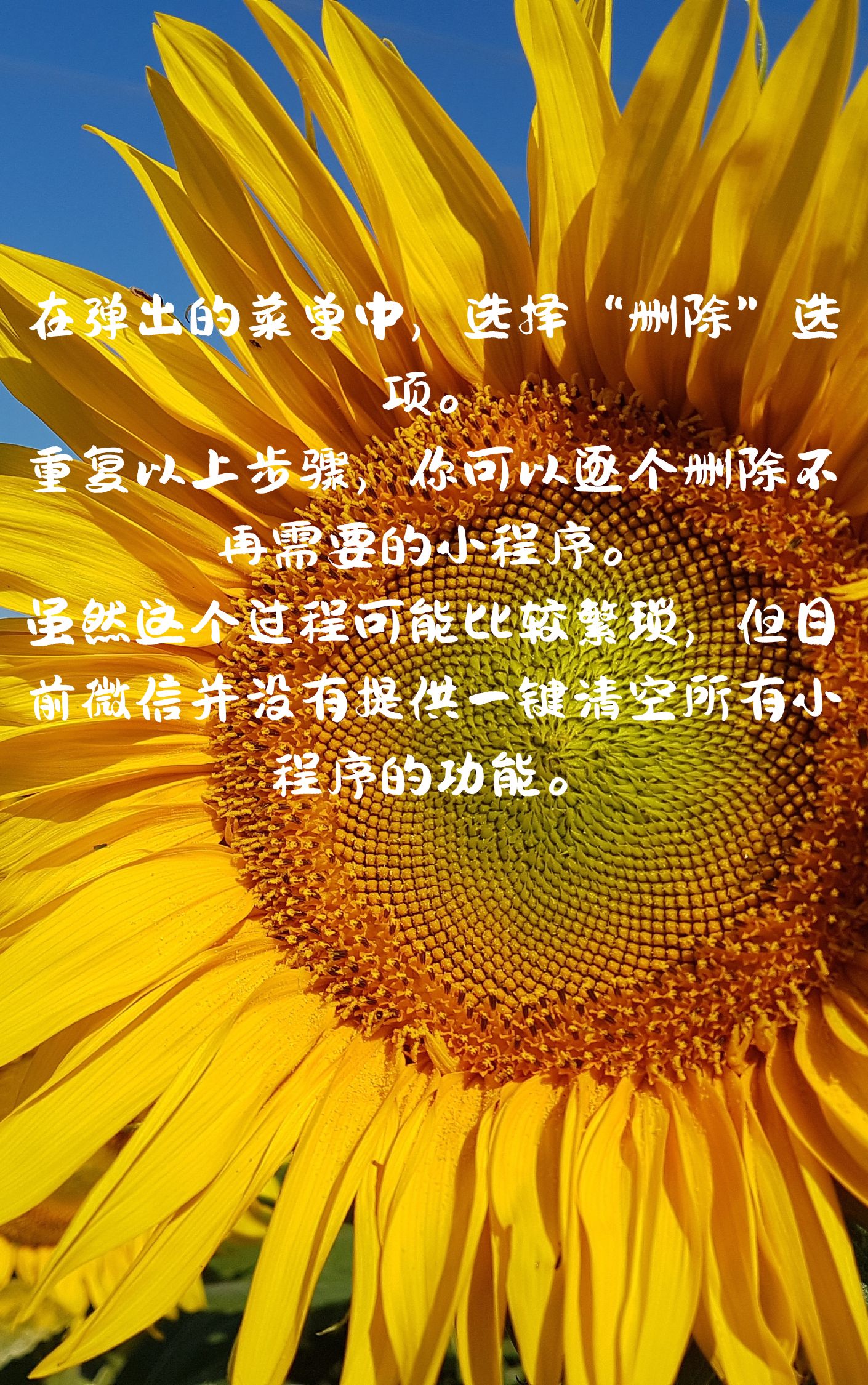 帮你解答“微信小程序微乐跑得快记牌器”开挂(透视)辅助教程-第2张图片