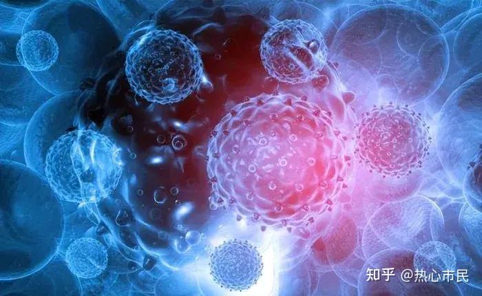 甘肃本轮疫情属什么地区/甘肃本轮疫情属什么地区的-第1张图片