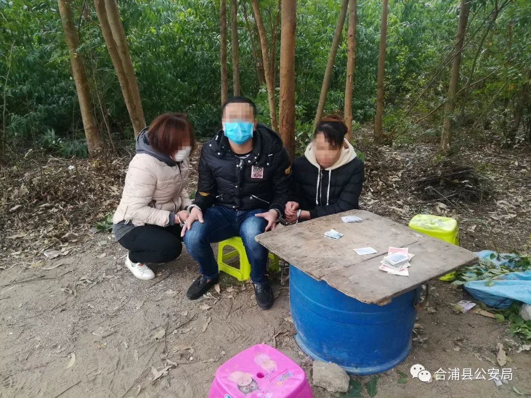 合浦疫情地区图表查询.合浦疫情地区图表查询最新？