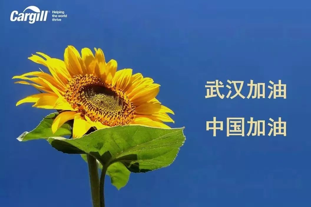 云南五个等级疫情地区.云南是几级疫区?-第2张图片