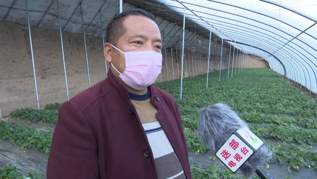 甘南地区现在疫情严重吗/甘南是否有疫情-第1张图片
