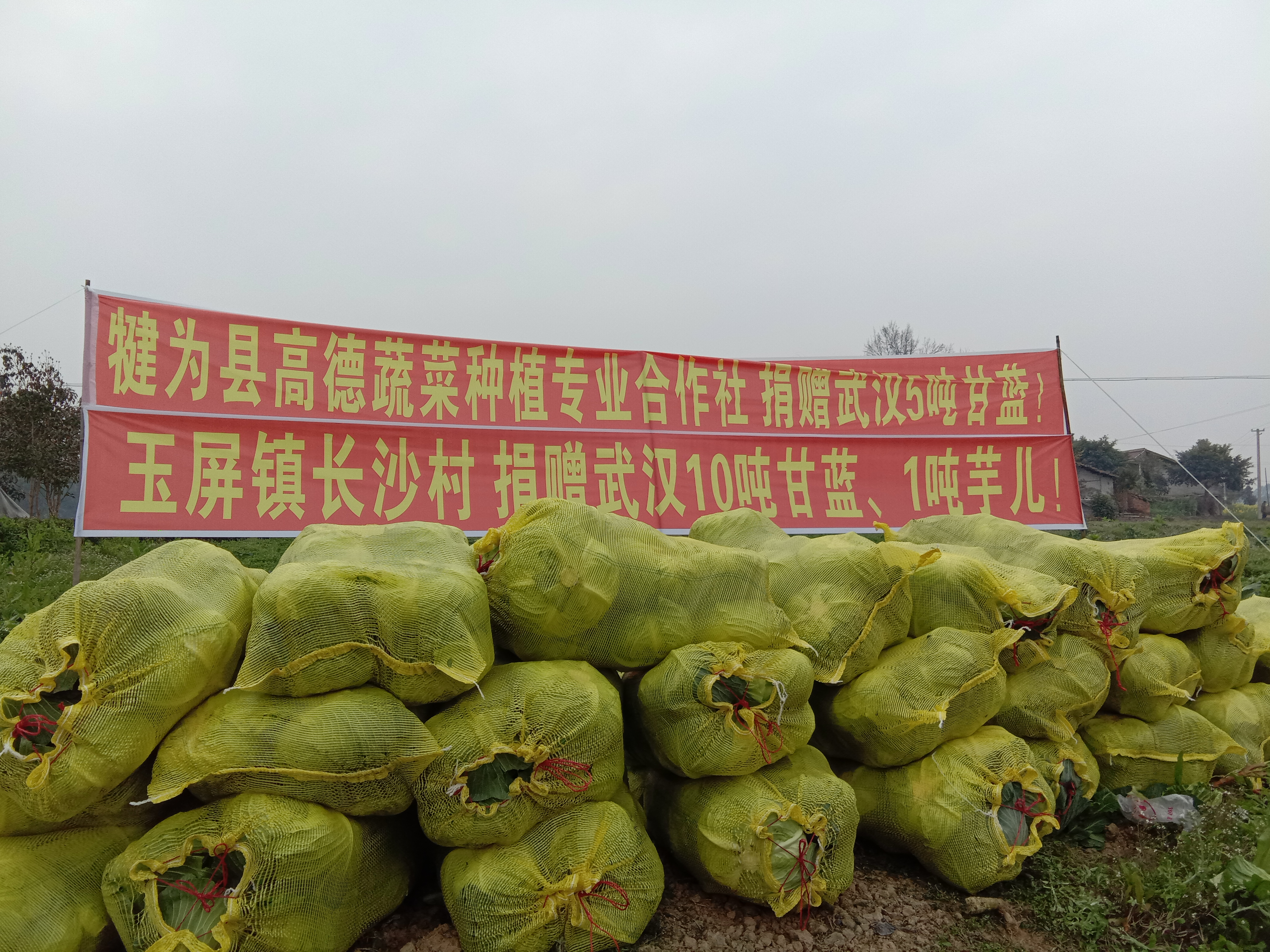 怎么算疫情防控地区(疫区如何界定)-第1张图片