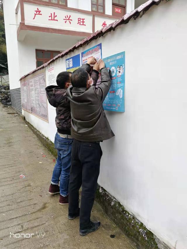 正安有无疫情地区吗现在.正安最新疫情?-第2张图片