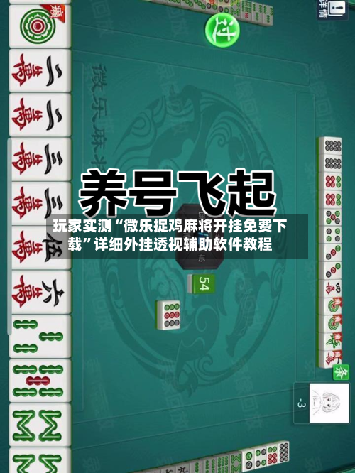 安装程序教程“微乐内蒙古麻将万能开挂器”原来有神器下载!-第1张图片