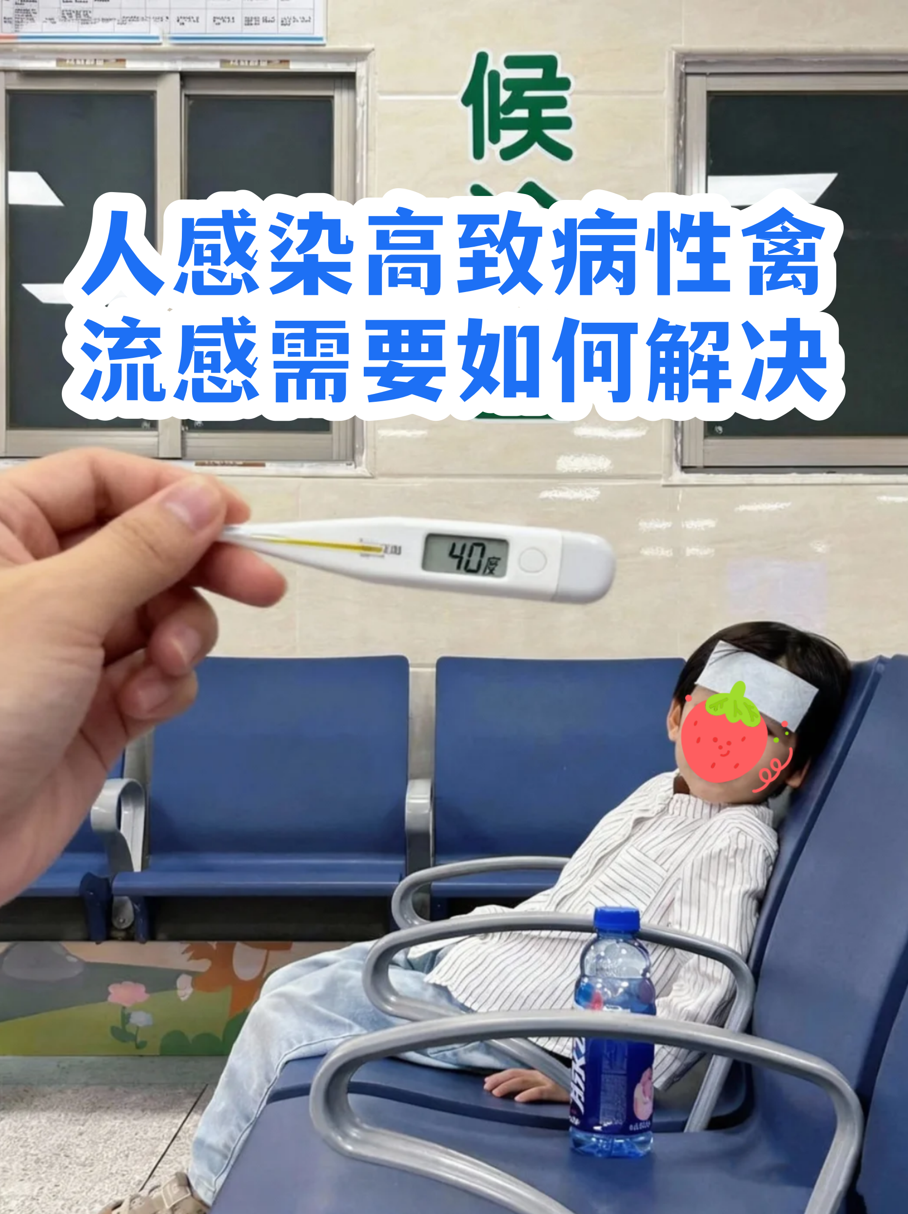 最近禽流感疫情的地区(近期禽流感疫情的情况)
