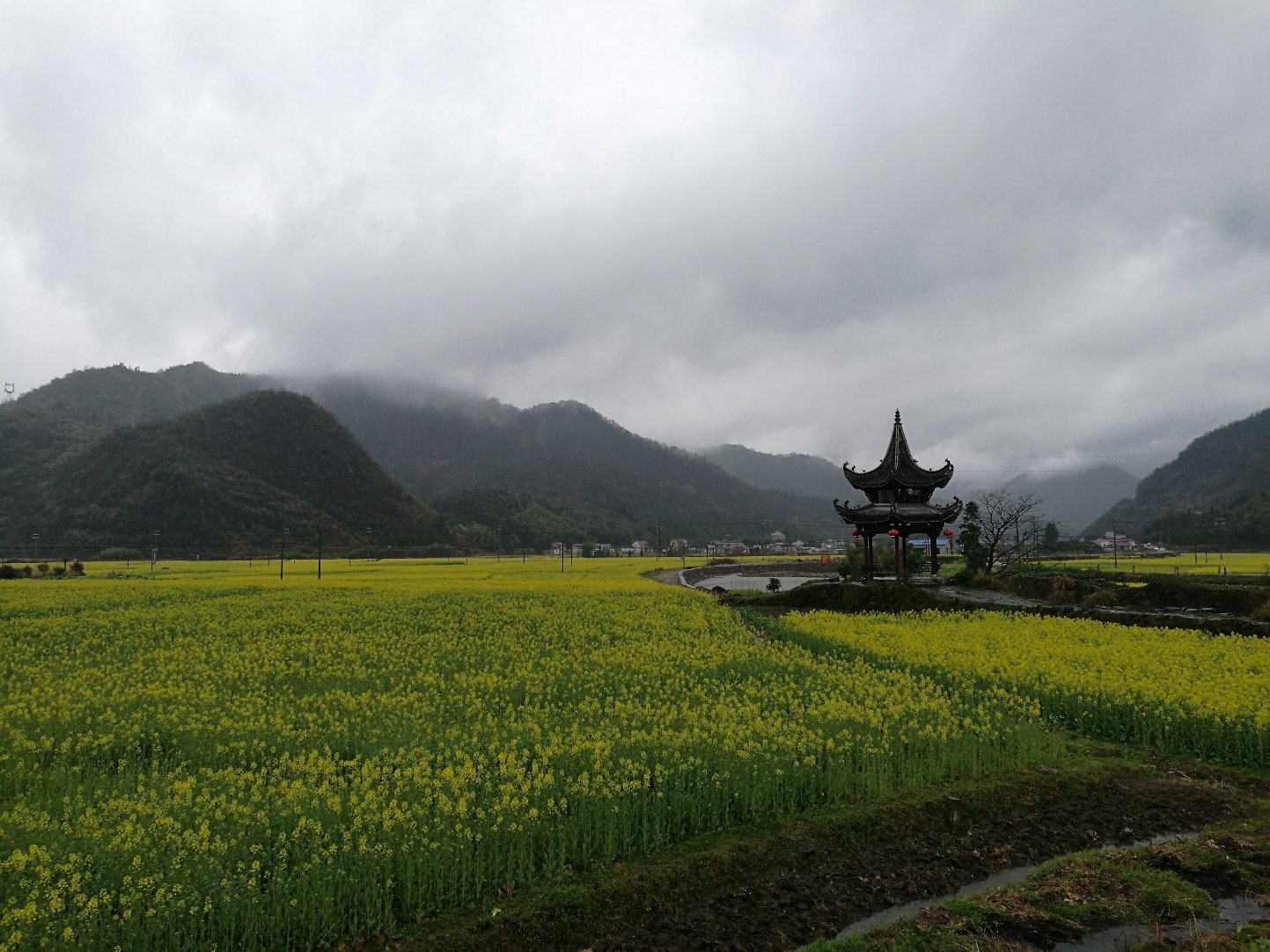 【池州青阳哪个地区有疫情,池州青阳属于哪个省】