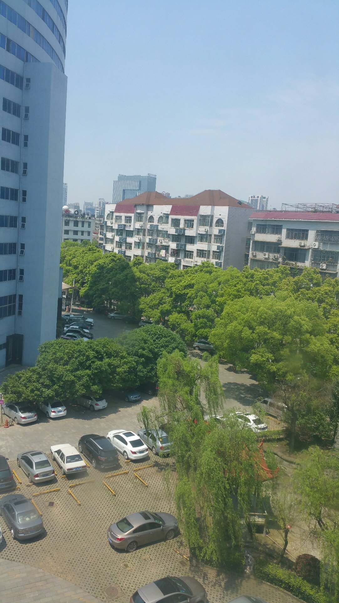 湖南株洲地区疫情分布.湖南株洲疫情地图及实时播报?-第1张图片