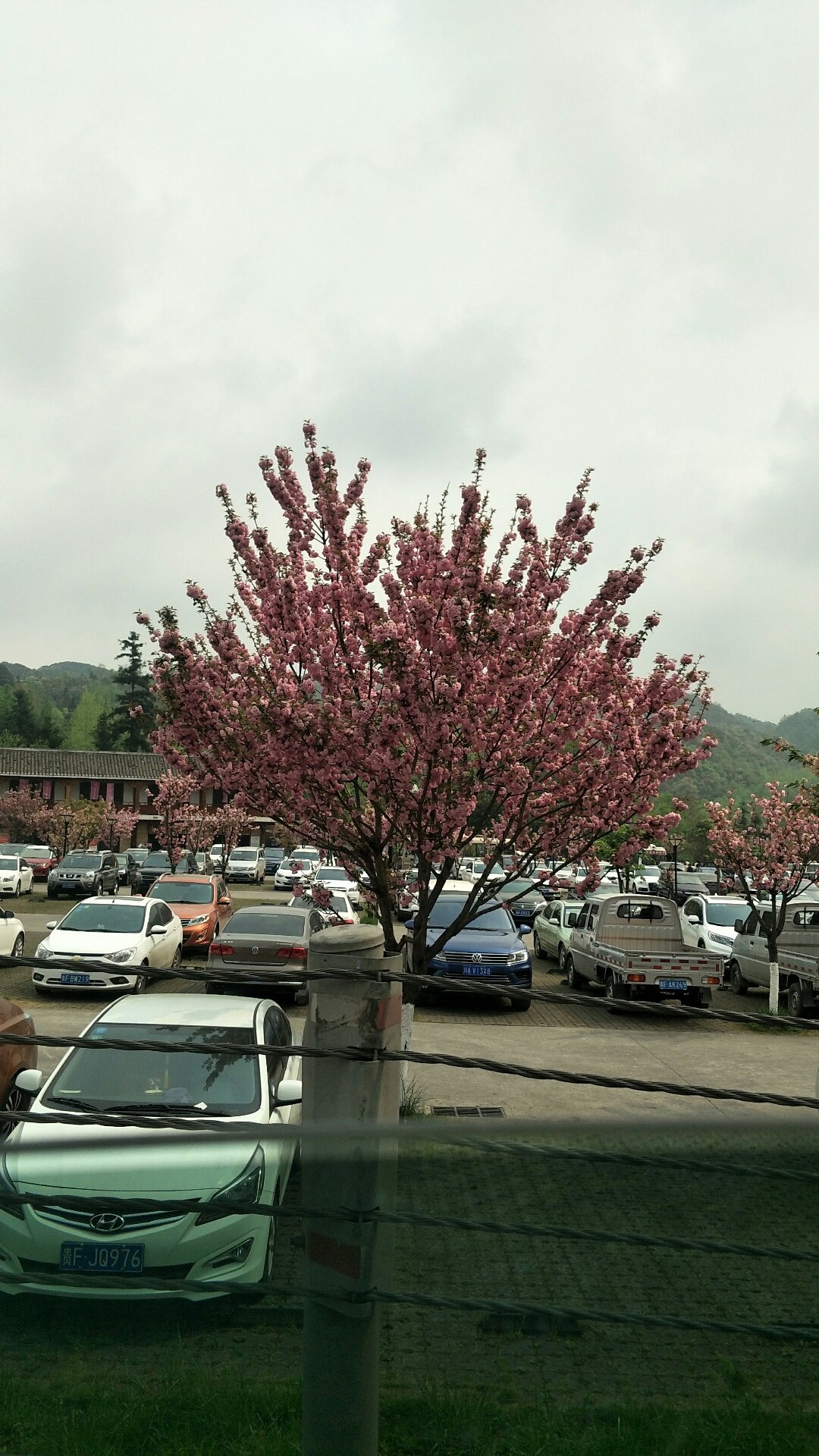 毕节疫情高发地区是哪里.毕节疫情高发地区是哪里的?-第1张图片
