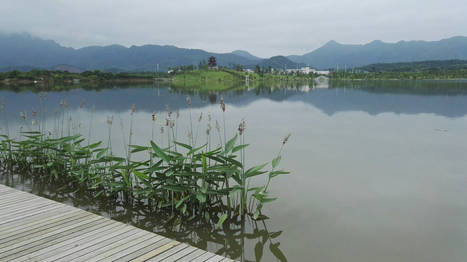 【池州青阳哪个地区有疫情,池州青阳属于哪个省】-第2张图片