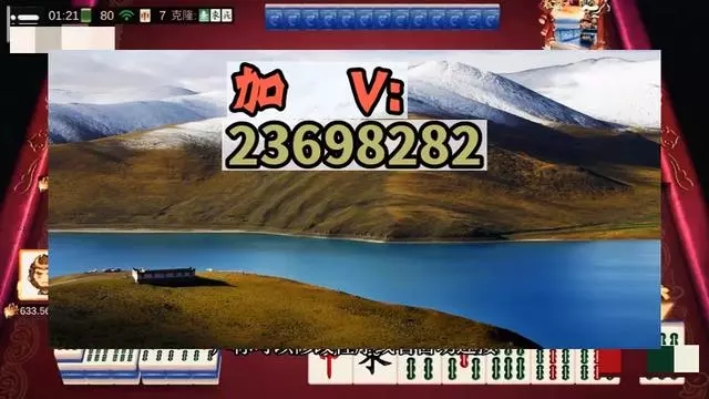 分享实测辅助“微乐三代小程序必赢神器免费安装”(原来确实是有插件)-第1张图片