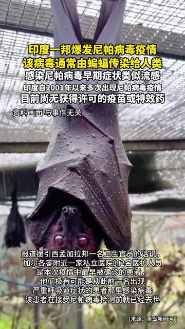 印度疫情爆发地区分布.印度疫情爆发点?-第1张图片