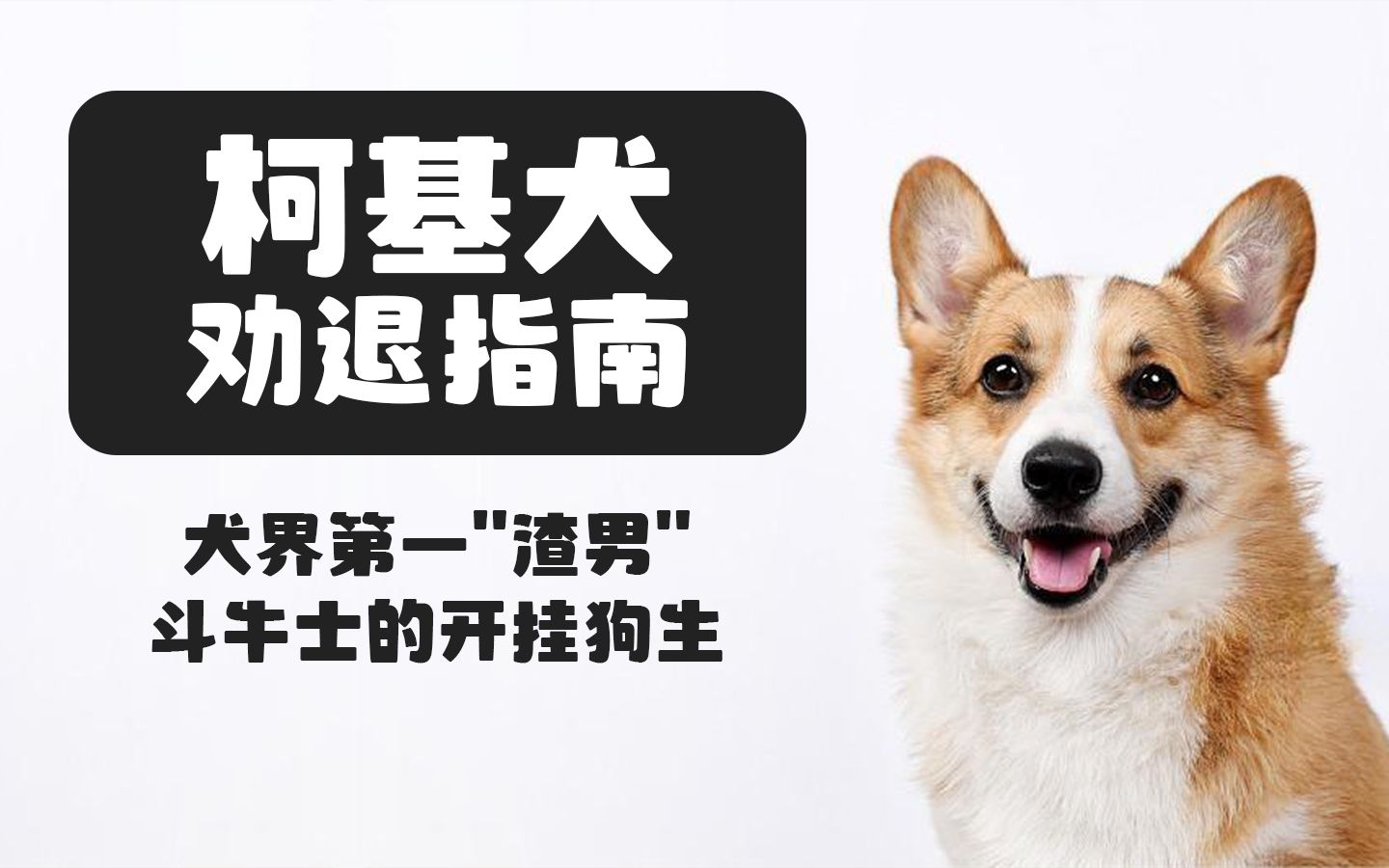 今日实测“随意玩斗牛开挂”科技辅助神器手机版教程-第2张图片