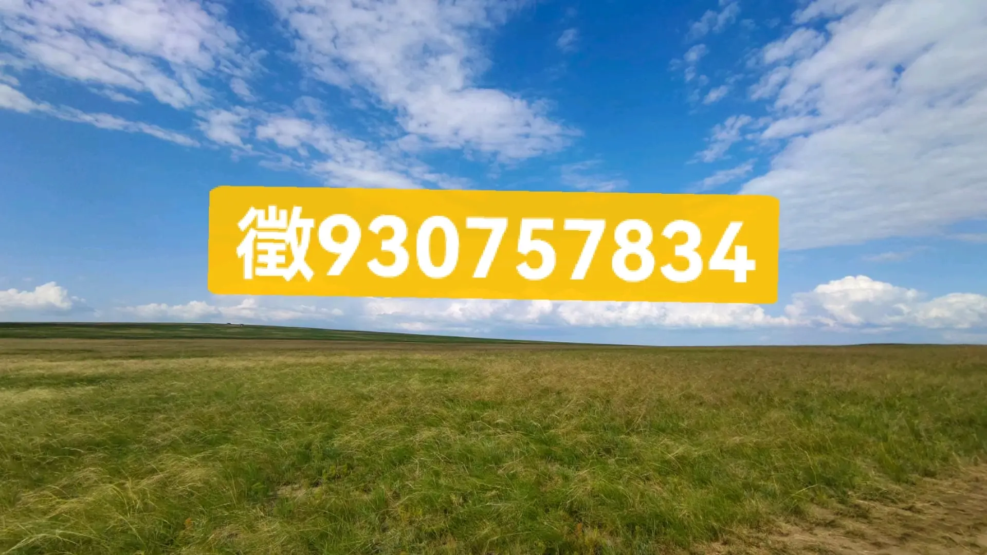 今日实测“微信跑得快开挂神器下载安装”真实开挂技巧分享-第1张图片