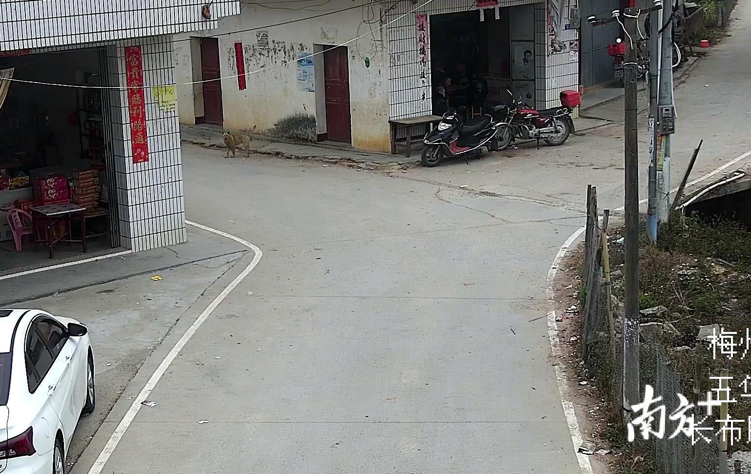【梅州疫情封闭地区有哪些,梅州疫情管控】-第1张图片