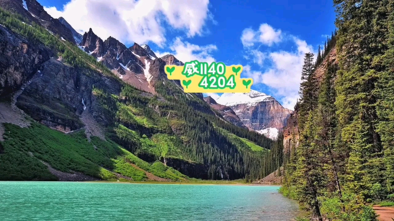 万能开挂辅助“微乐小程序干瞪眼免费开挂神器”原来有神器下载！