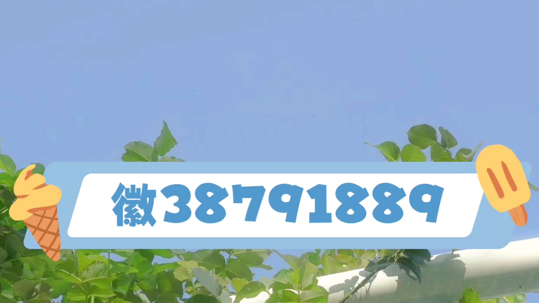 今日实测“随意玩斗牛开挂”科技辅助神器手机版教程-第3张图片