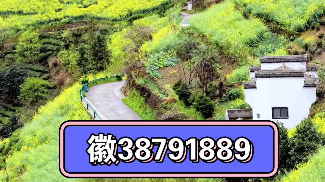 专家分析“微信小程序家乡大贰透视”开挂(透视)辅助教程-第1张图片