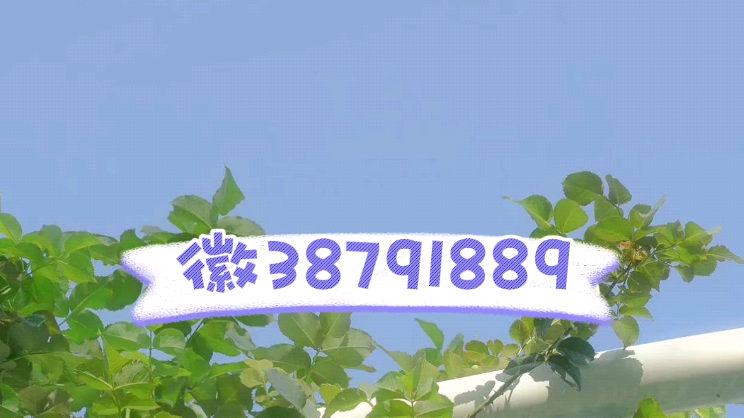 万能开挂辅助“新上游大厅开挂辅助器”科技辅助神器手机版教程