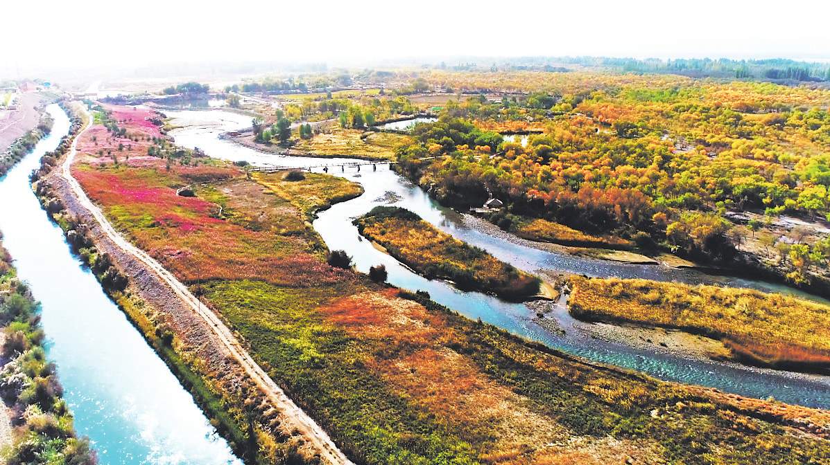 喀什泽普地区疫情情况最新(喀什泽普地区疫情情况最新通报)