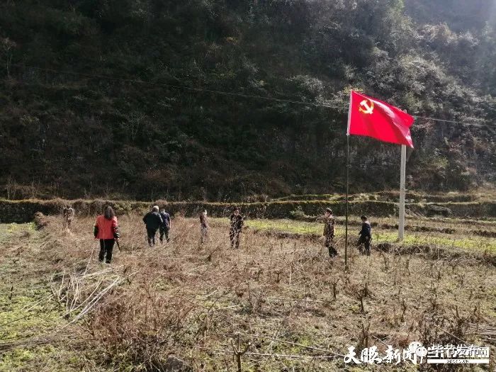 毕节疫情解封地区名单/毕节地区封路情况-第1张图片
