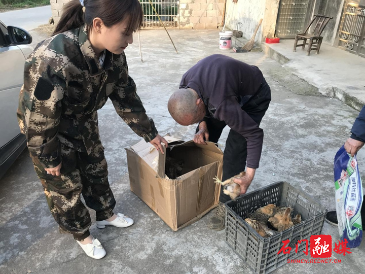 【广东黄泥地区有疫情吗,黄泥岗是哪里的地名】-第2张图片