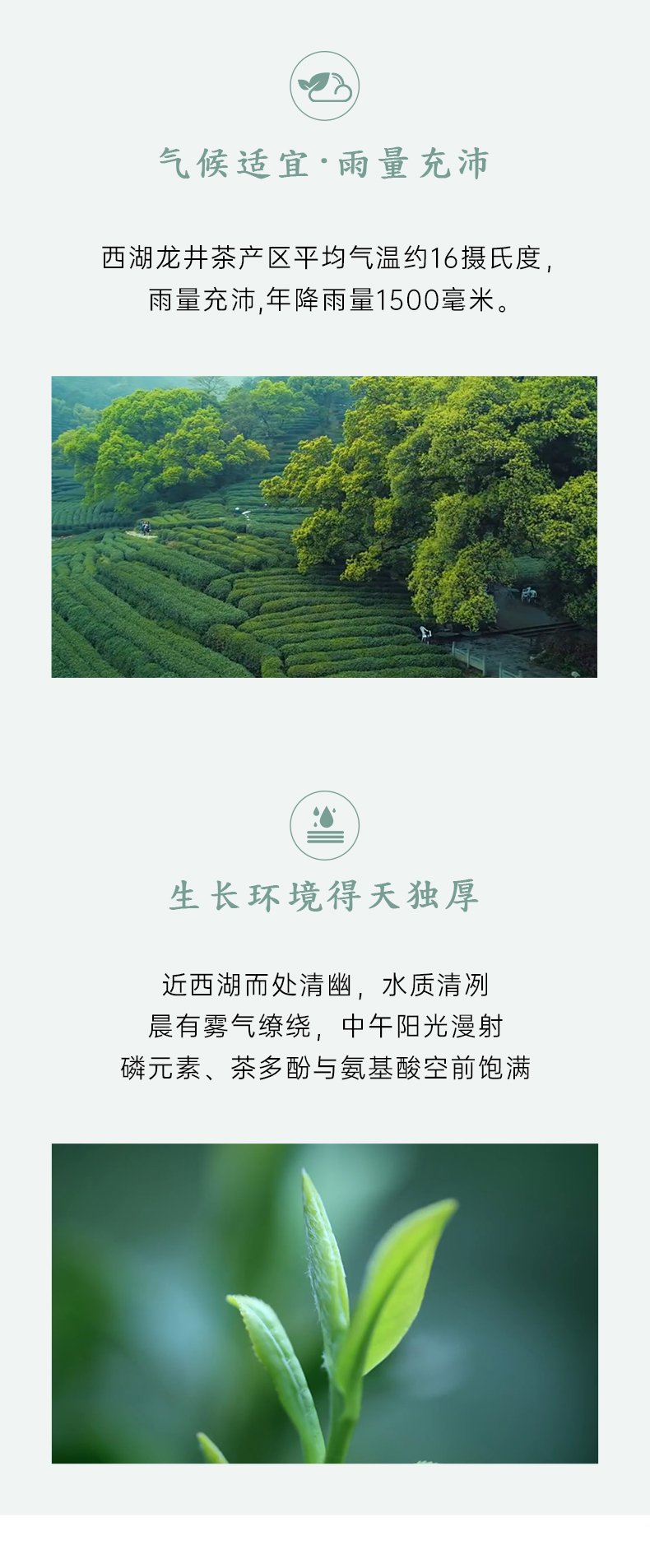 龙井是疫情地区吗现在(龙井是哪个区)