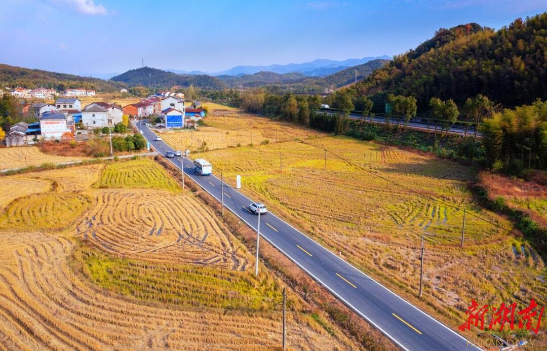 临湘哪个地区有疫情病例(2021年临湘疫情封路)-第1张图片