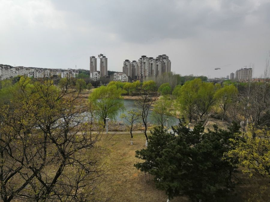 沈北辉山地区疫情(沈北辉山未来发展)