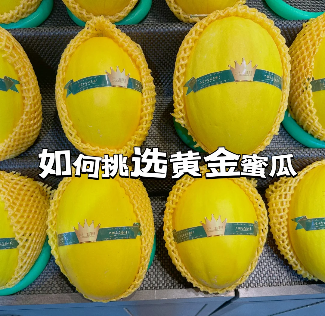 3分钟学会“蜜瓜大厅辅助器”详细分享装挂步骤教程-第1张图片