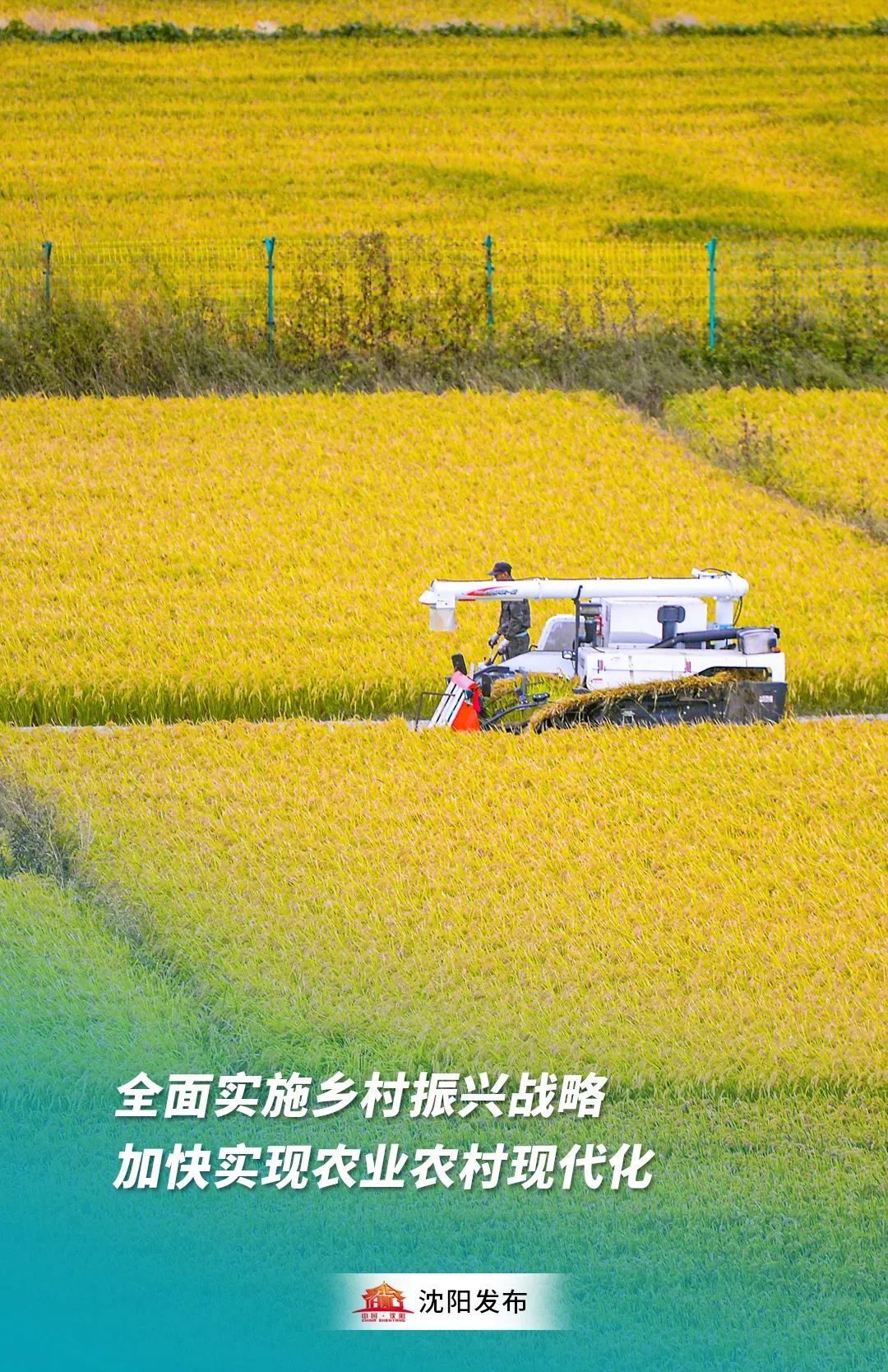 沈阳疫情封闭管控地区(沈阳疫情封锁地区)-第2张图片