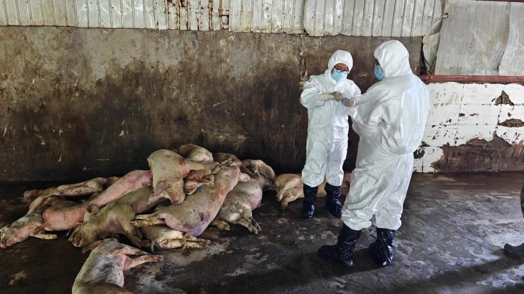 锦州地区疫情什么样.锦州疫情啥样？-第2张图片