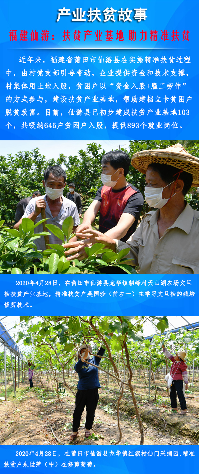 国外贫困地区疫情情况/国外对贫困的研究综述-第1张图片