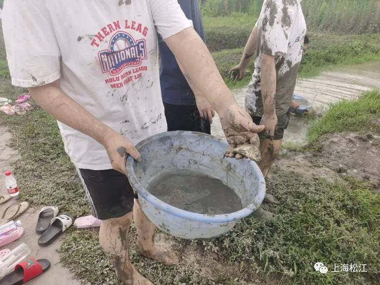 实操教程“微乐陕西挖坑辅助器免费版”其实确实有挂-第2张图片