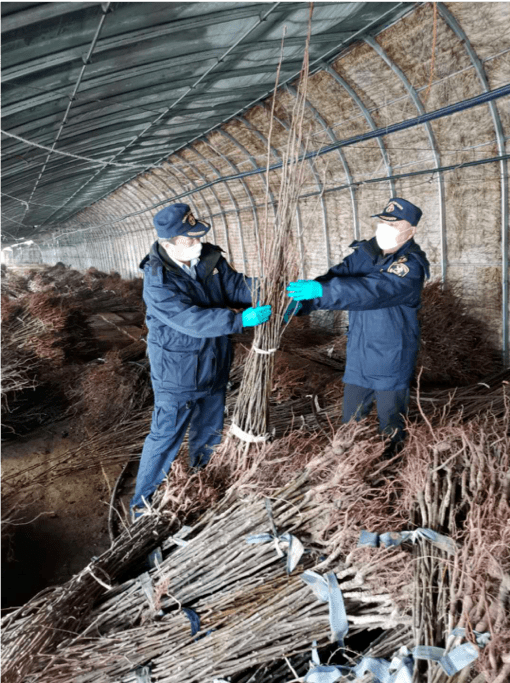 辽宁丹东疫情地区划分/丹东疫情是什么风险等级-第2张图片