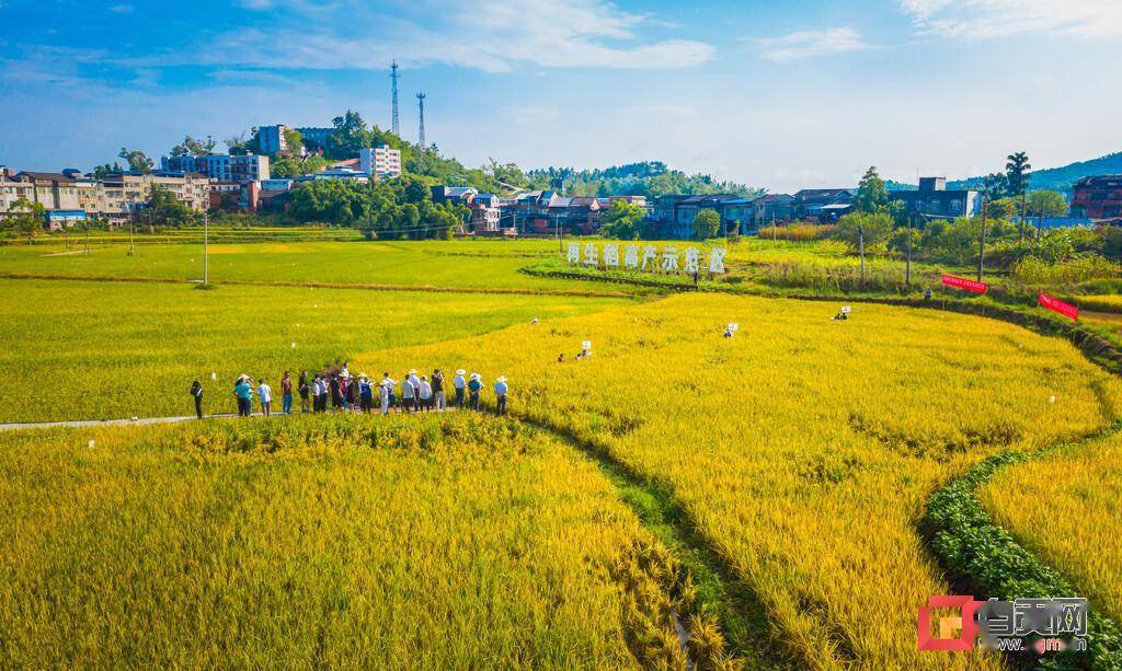 富顺疫情属哪类地区/富顺县疫情严控-第1张图片