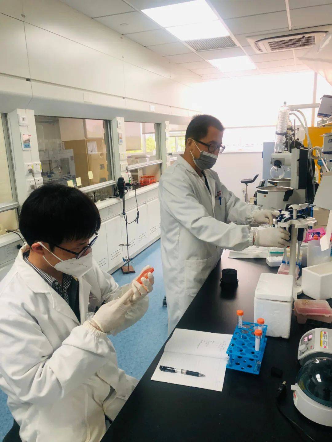 疫情重点地区复产复工.重点企业复工复产情况？