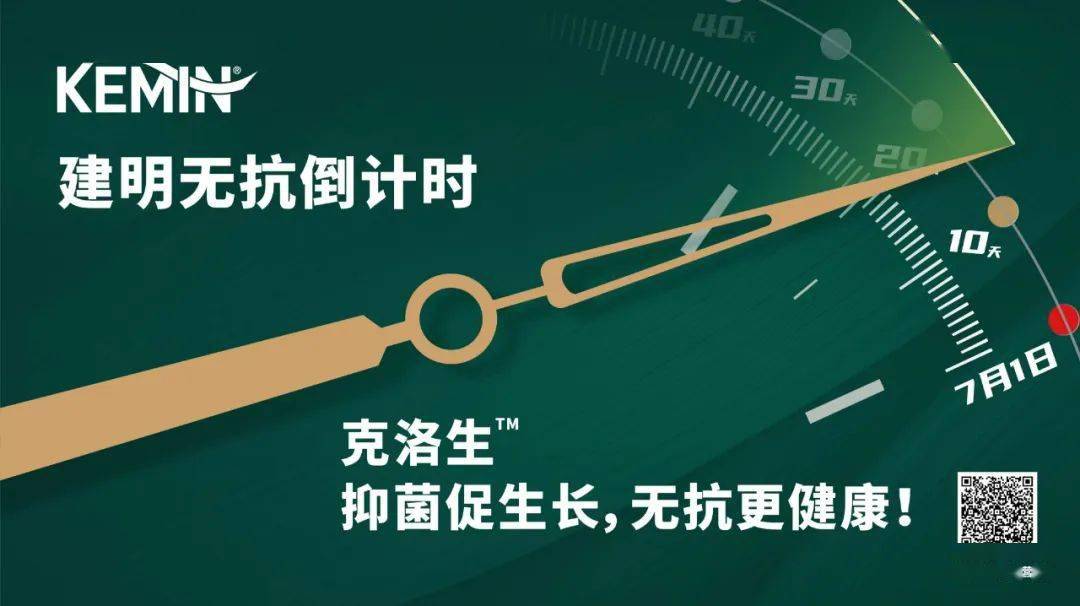 【什么叫省内单列地区疫情,省内计划单列市有哪些】-第3张图片