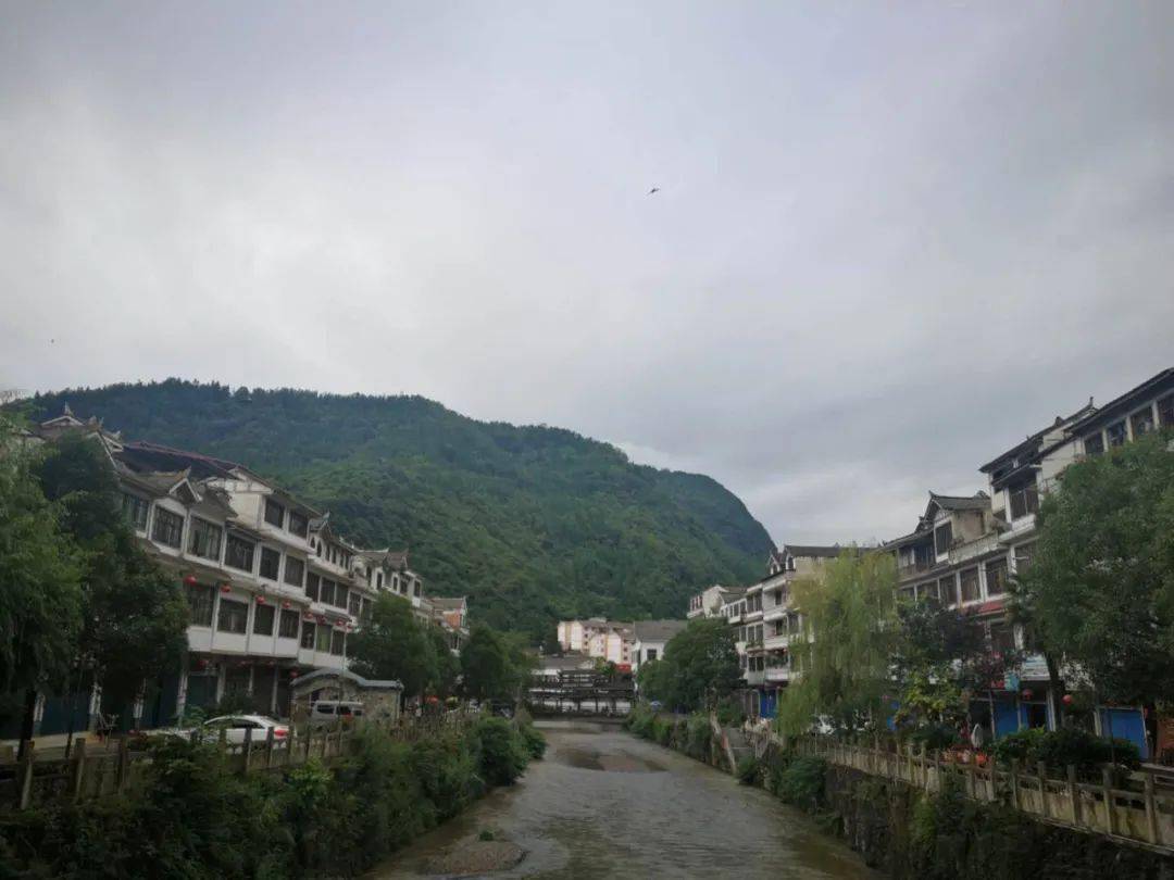 织金疫情地区有哪些村庄.织金县疫情通报？-第1张图片