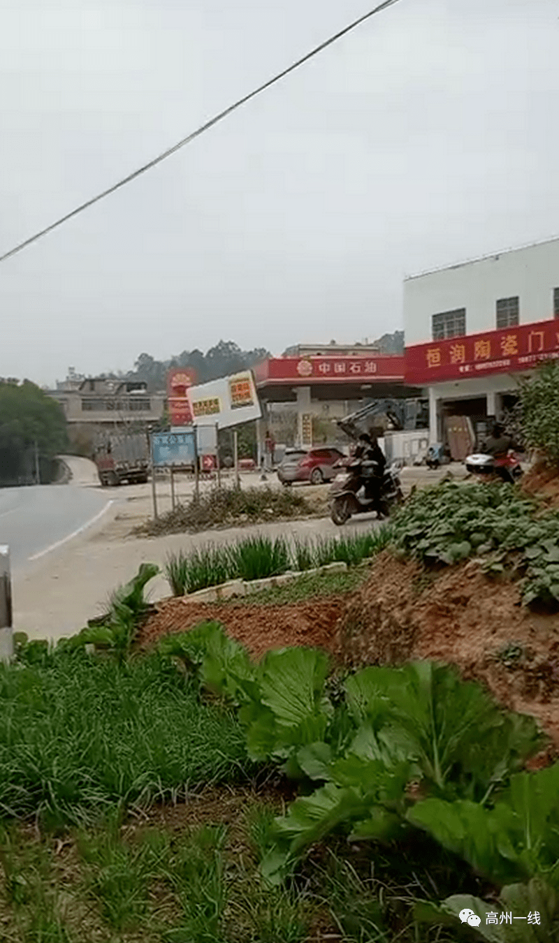 长寿地区茂名有疫情吗.长寿地区茂名有疫情吗现在？