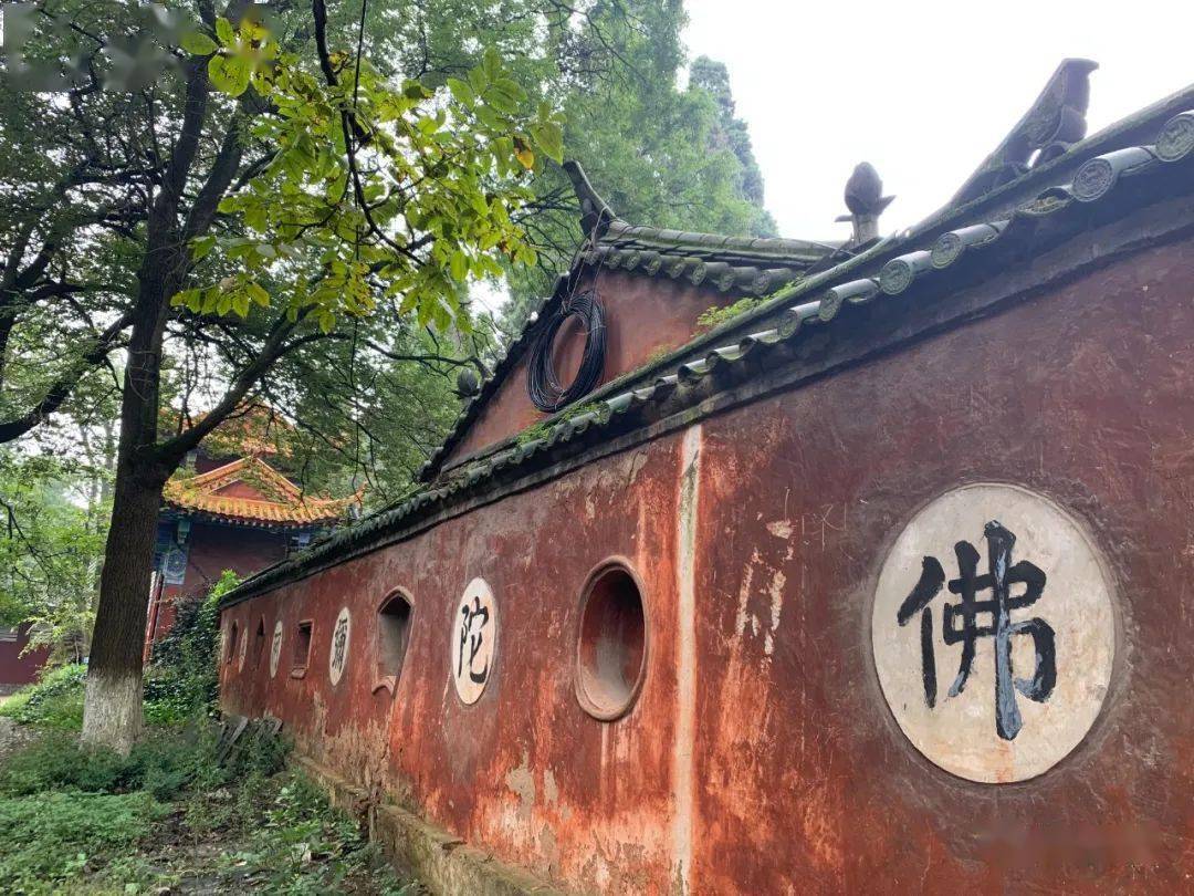 宣威东山地区疫情情况/宣威东山风景区介绍-第3张图片