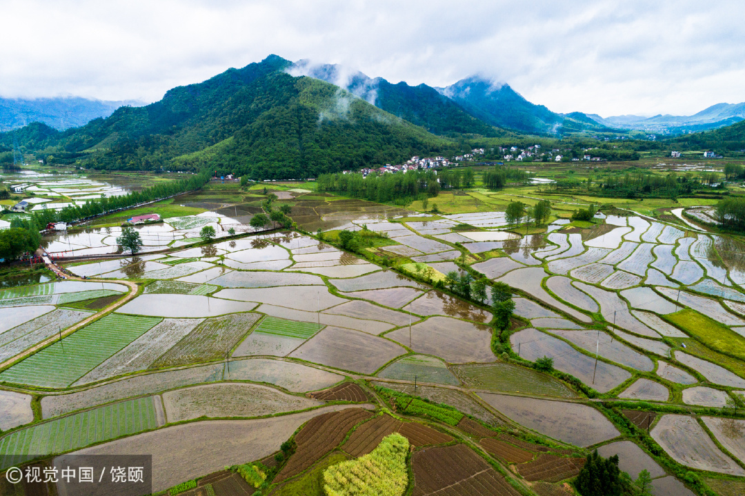 池州有什么疫情地区吗/池州是疫区吗-第1张图片