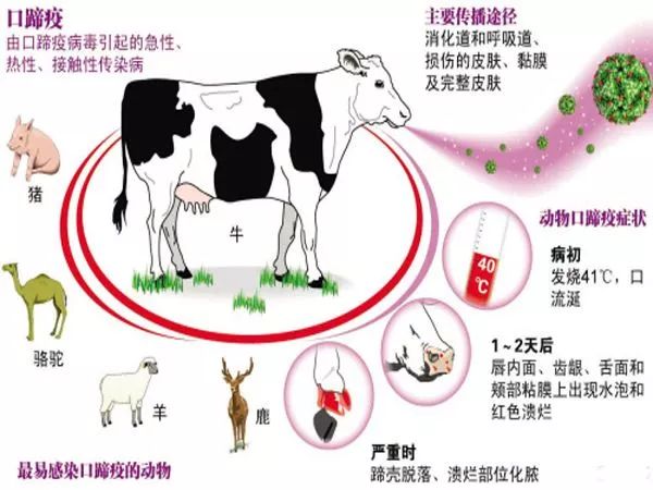 【上海地区疫情最新通知,上海最新疫区划分】