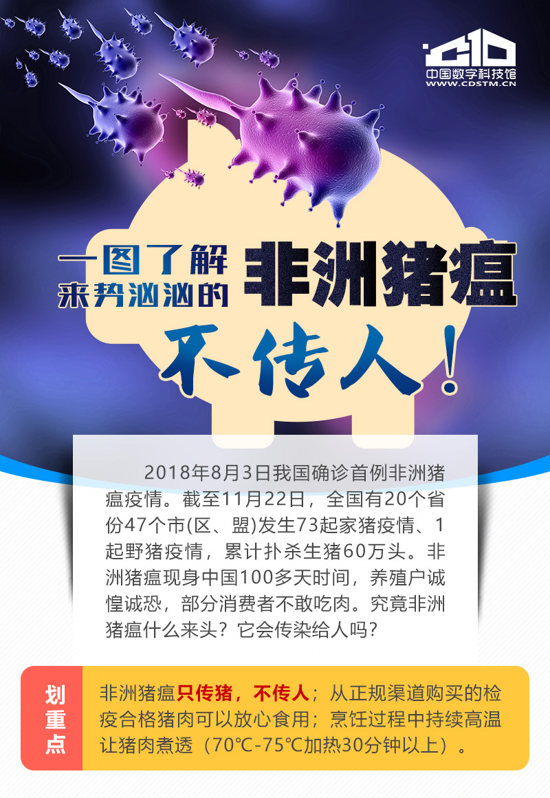 猪瘟疫情几个地区传染.猪瘟疫情最新三个省？-第1张图片