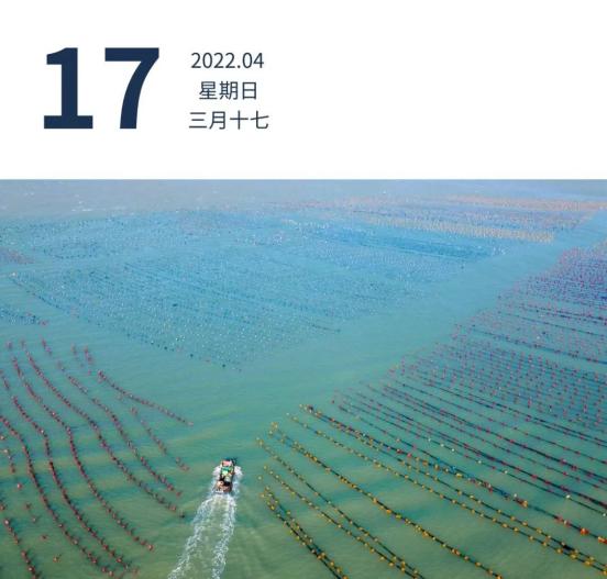 【韶关各个地区疫情情况,韶关近来有多少例】