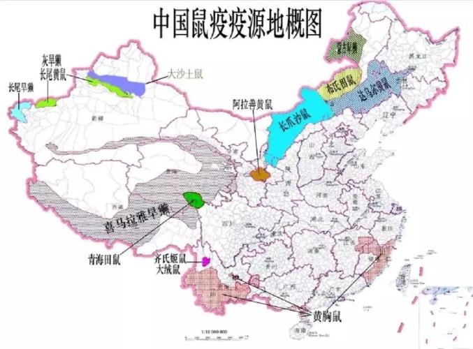 安阳地区疫情详情公告图/安阳疫情分布图