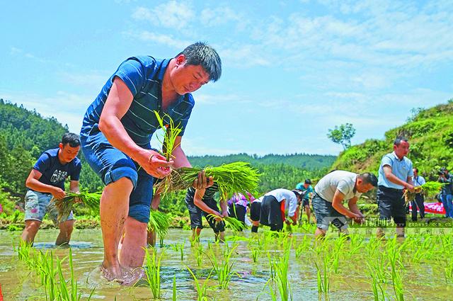 【喀什地区疫情先进人员,喀什地区2021年6月6日表彰】-第2张图片