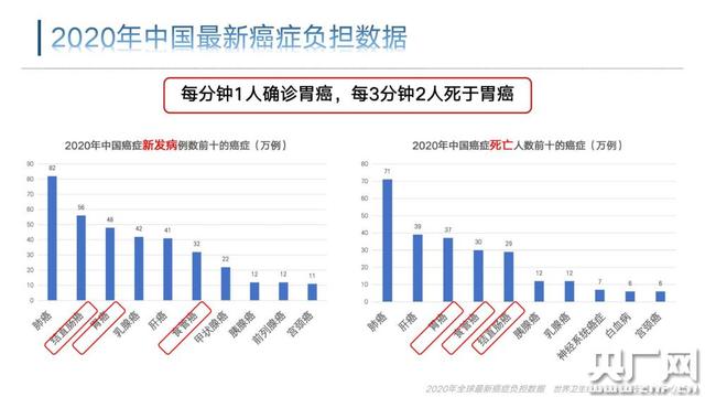 我国疫情高发地区有哪些/我国疫情高发地区有哪些省份-第3张图片